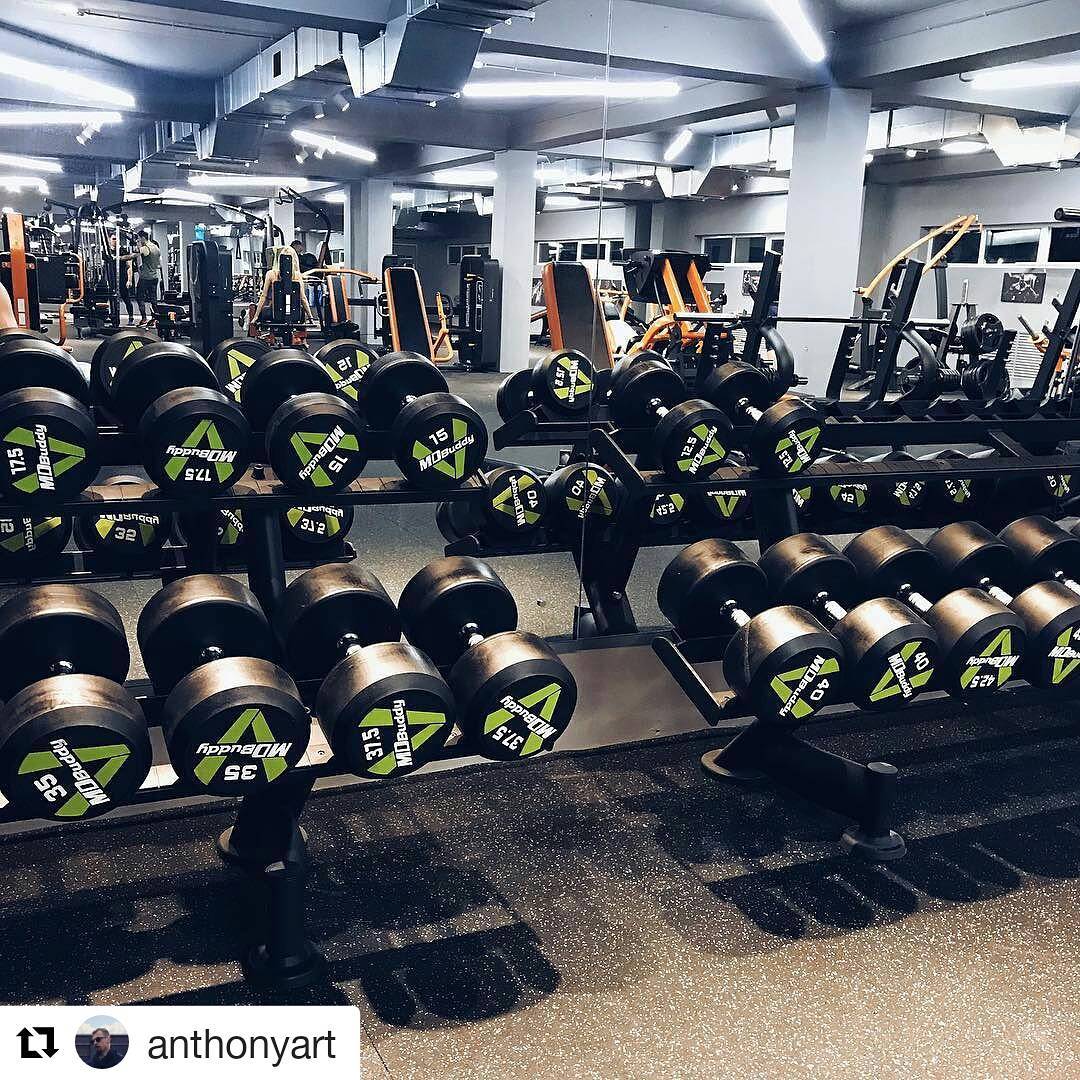 BASE Fitness BASE Fitness