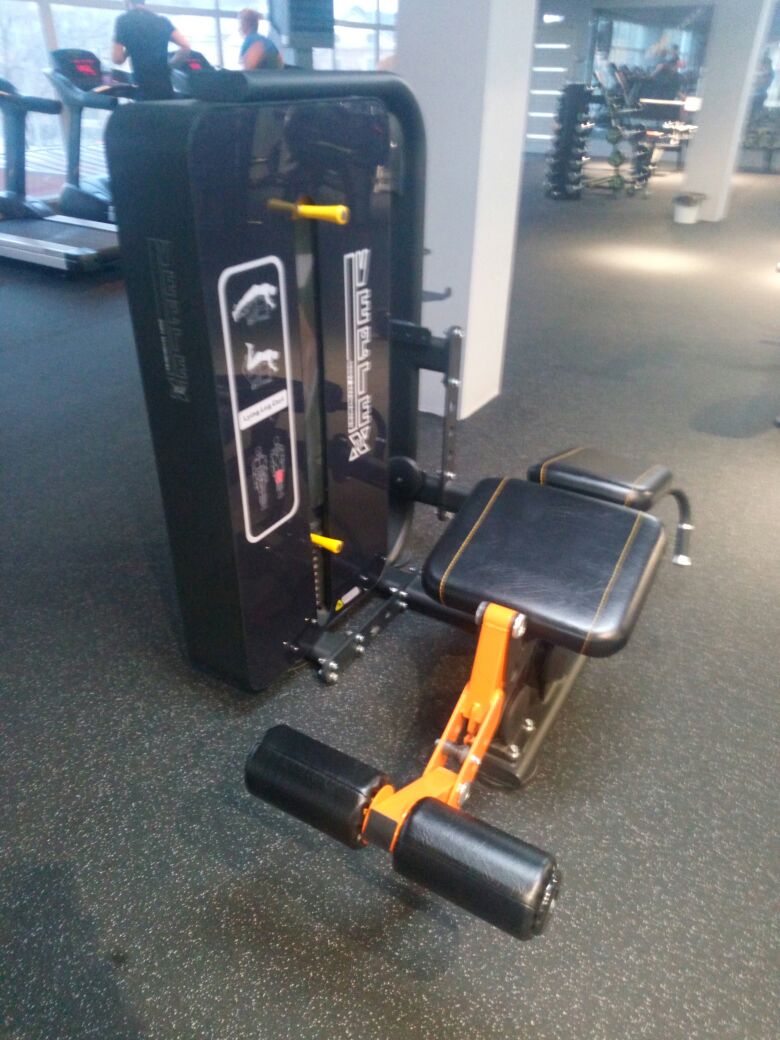 BASE Fitness BASE Fitness