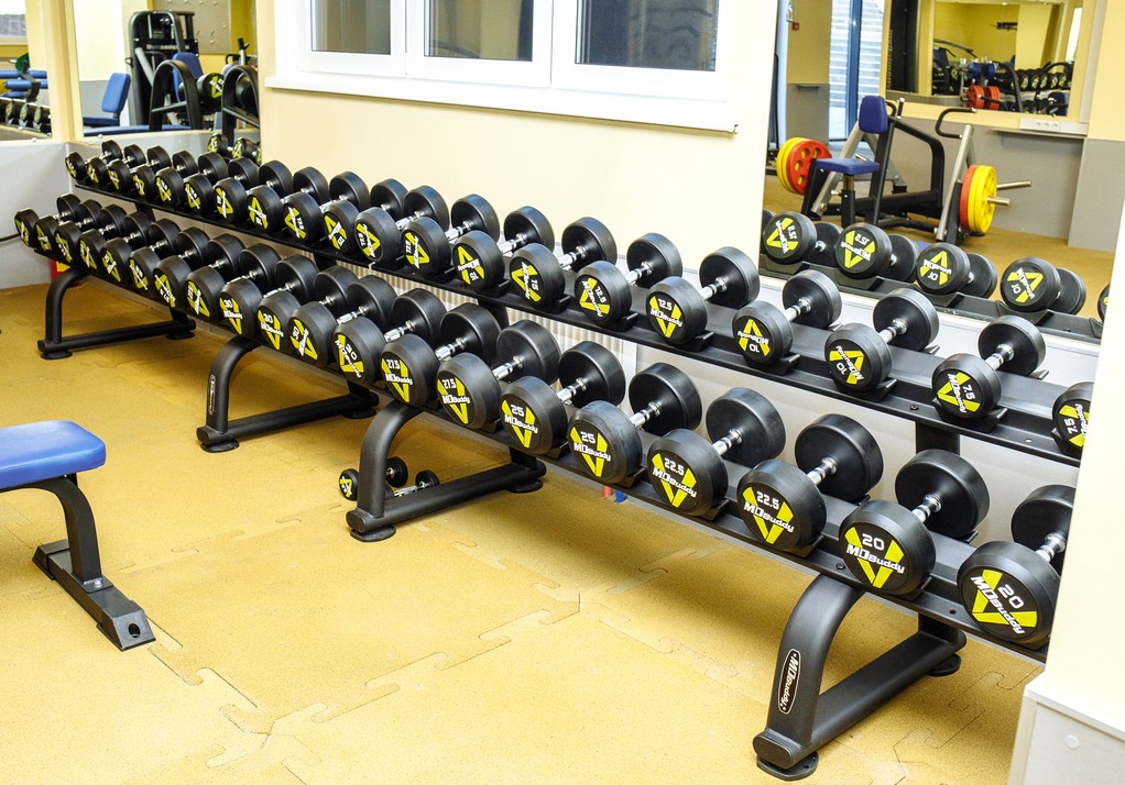 DynamicGym DynamicGym