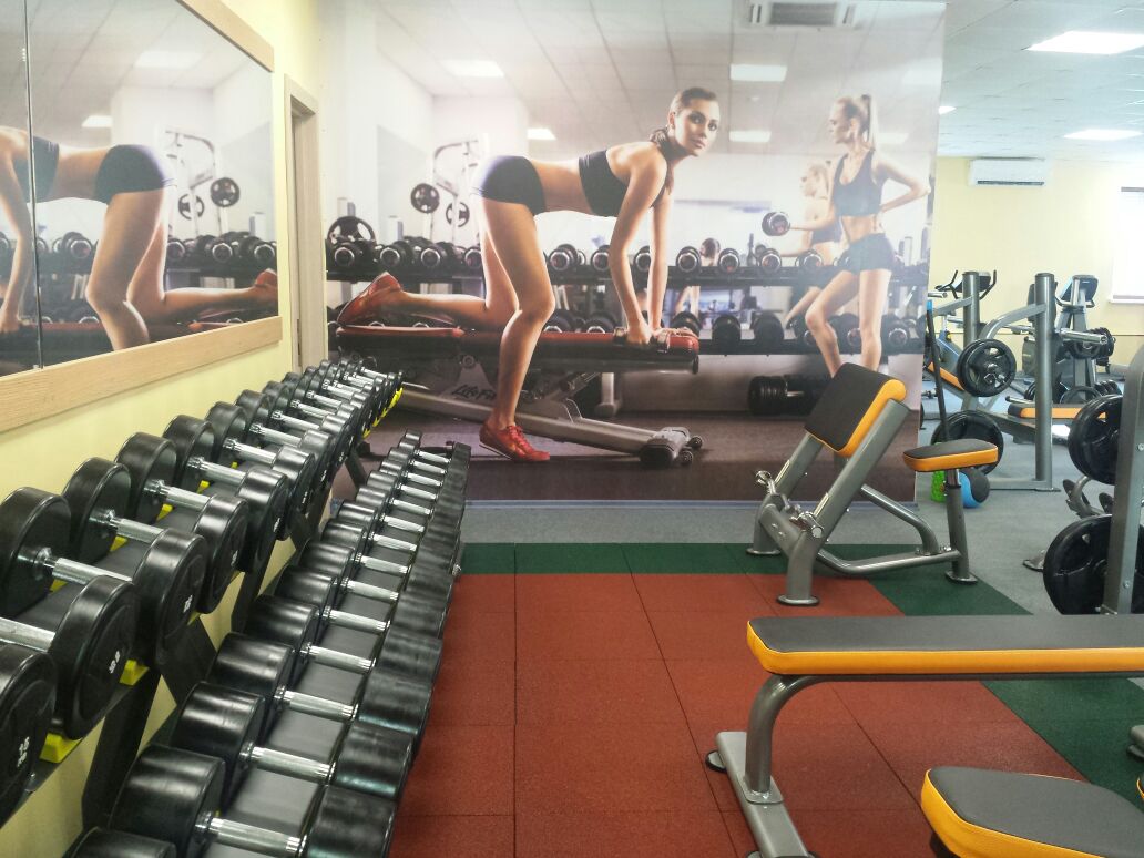 Nordic Gym Nordic Gym