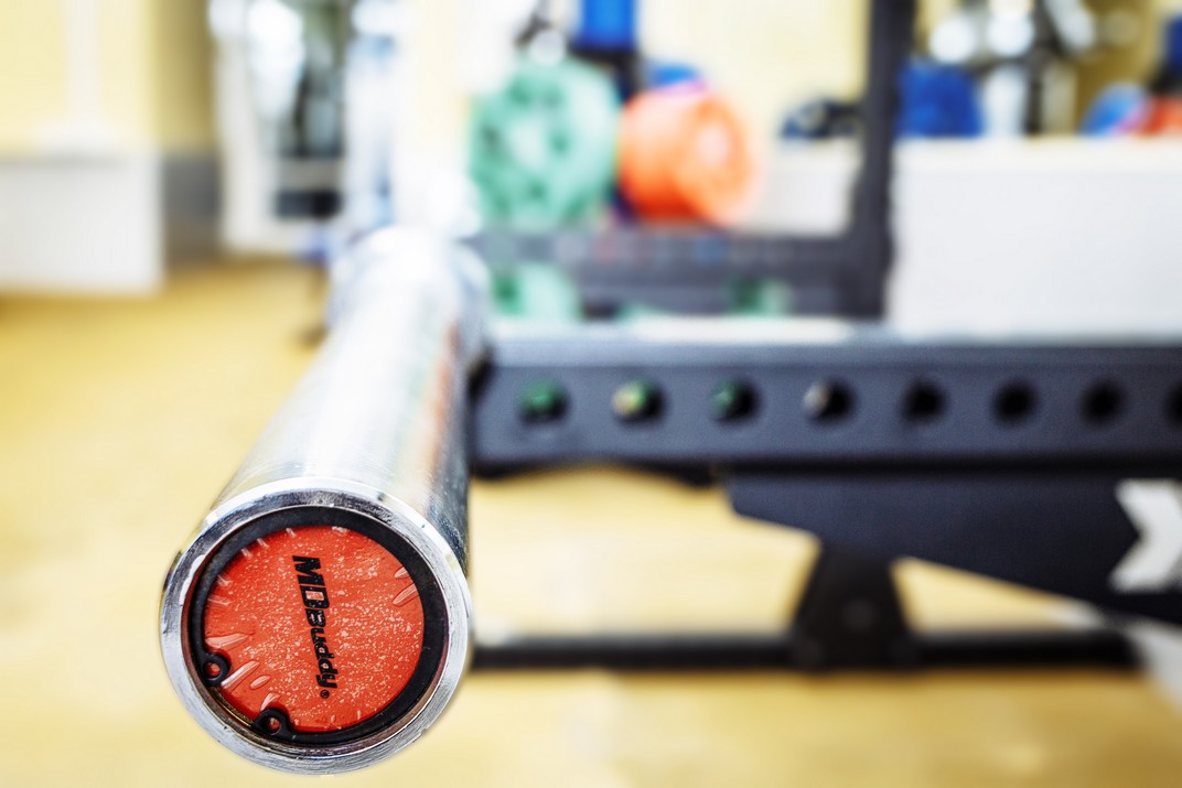 DynamicGym DynamicGym