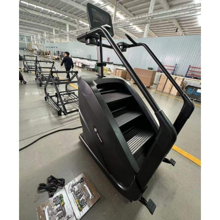 Лестница-степпер Insight Fitness EB8900 (LCD)