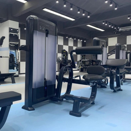 Разгибание спины Insight Fitness TF11