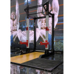 Силовая полурама Insight Fitness TM102
