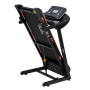 Беговая дорожка электрическая ROYAL Fitness, арт. RF-6