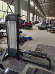 Гребная тяга Insight Fitness HS23