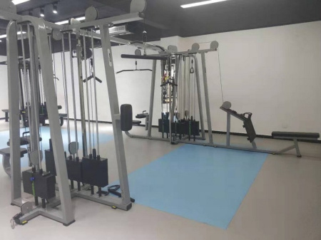 Мультистанция 8-ми позиционная Insight Fitness TB64