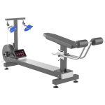 Тренажер для пловцов Gymmaster YY5006