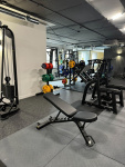 Скамья универсальная Insight Fitness TS213