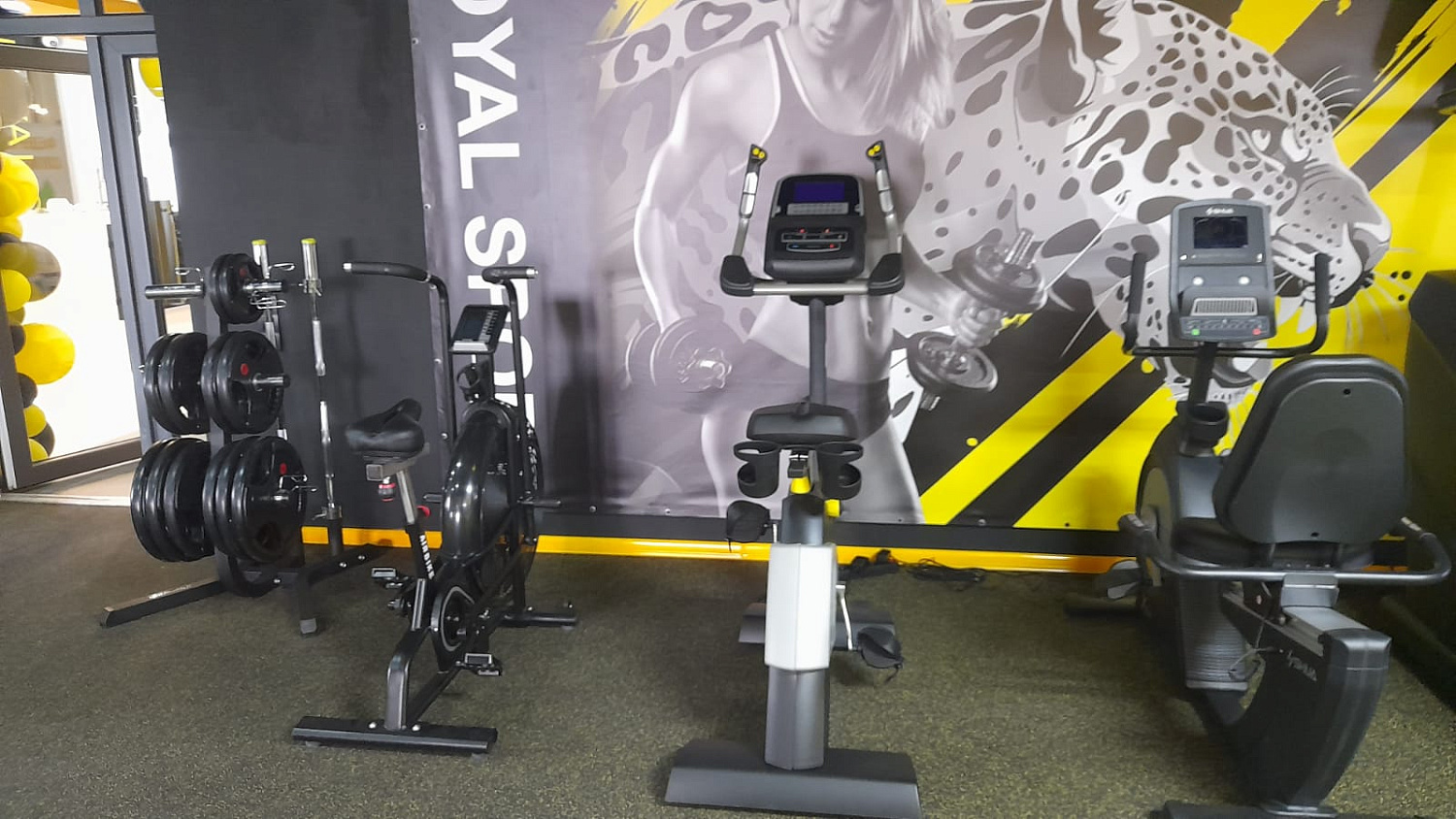 Royal Gym Мелитополь