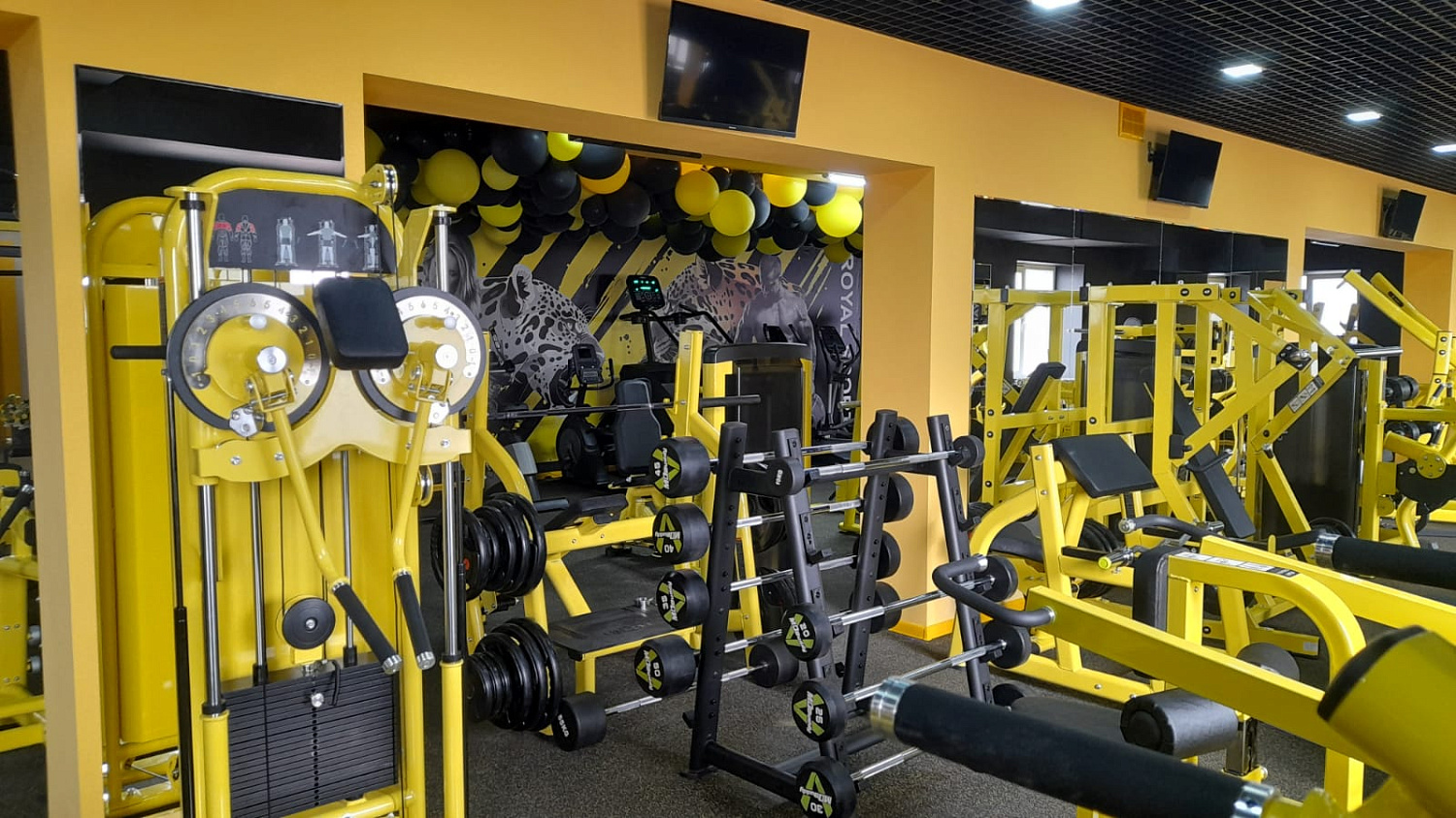 Royal Gym Мелитополь