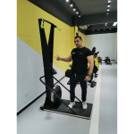 Лыжный тренажер Insight Fitness XF02