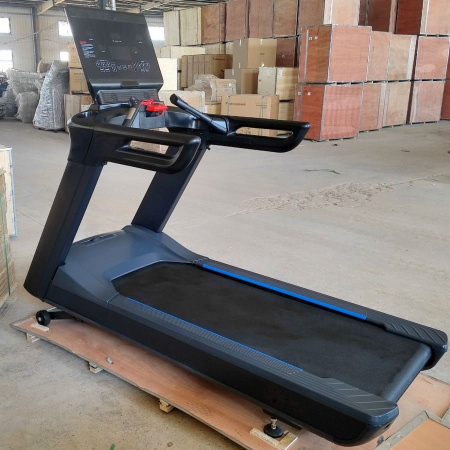 Беговая дорожка Gymmaster FT-T919