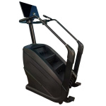 Лестница-степпер Gymmaster LZX-P11 Max