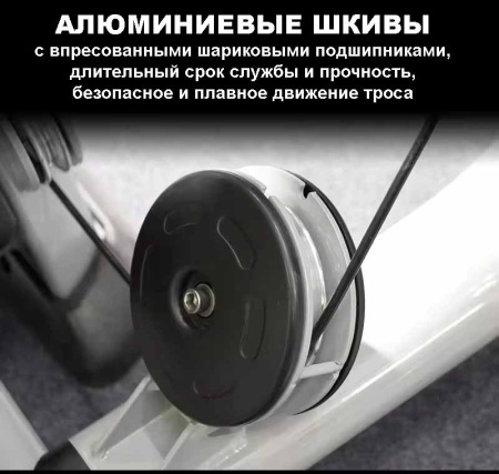 Пресс-машина/разгибание спины Insight Fitness TY31