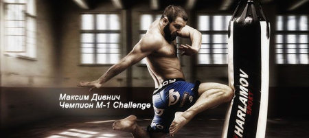 Боксёрский мешок профессиональный 30 кг