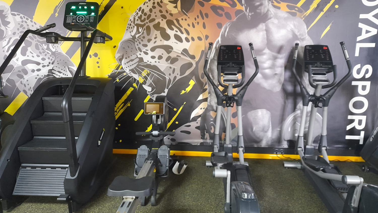 Royal Gym Мелитополь