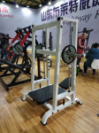 Вертикальный жим ногами (90 градусов) Insight Fitness TM39